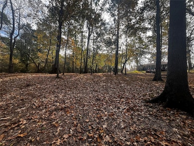 11 Clearwater Cir, Cape Royale, TX 77331 - photo 4