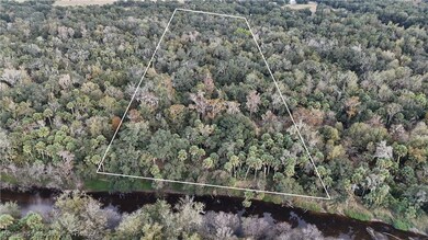 0 Peace River Woods unit 319919, Wauchula, FL 33873 - photo 6