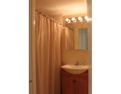 18 Pleasant St unit 1, Charlestown, MA 02129 - photo 7