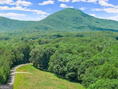 0 Arthur Allen Rd unit 10646088, Cleveland, GA 30528 - photo 4