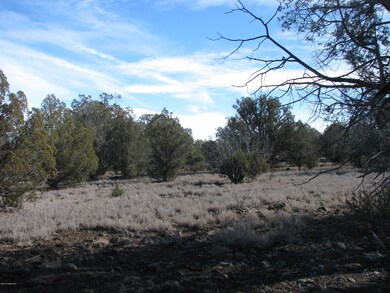0 Lucky Ln unit 991210, Ash Fork, AZ 86320 - photo 5