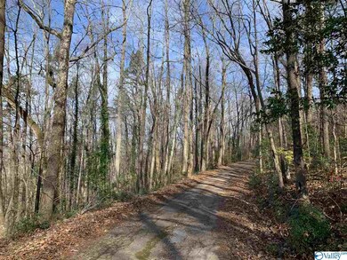 11 Camille Cir, Gadsden, AL 35901 - photo 5