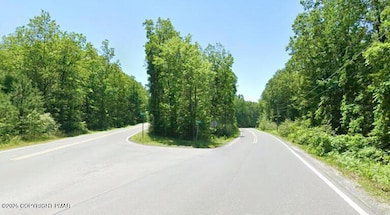 710 Behrens Rd, Penn Forest Township, PA 18229 - photo 3