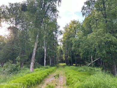 13964 W Little Jack Ave, Wasilla (14)