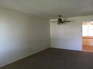 10911 W Santa fe Dr, Sun City, AZ 85351 - photo 2
