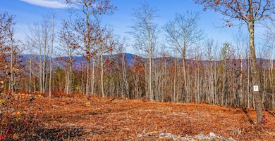 Lot 7 B-merrill farm lots-8 copy