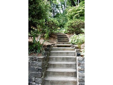 Yard/Garden.