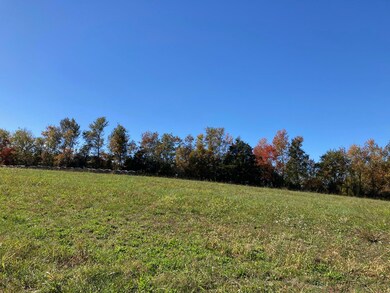 Tract 2 Combs Rd, Nixa, MO 65714 - photo 3