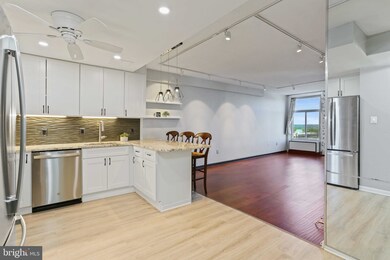 28 Allegheny Ave unit 1601, Towson, MD 21204 - photo 5