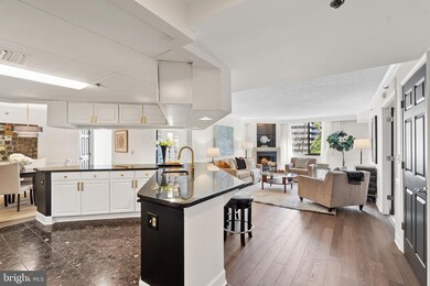 The Williamsburg unit 507, Arlington, VA 22201 - photo 4