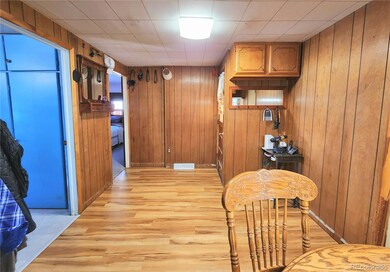 110 Miner St, Idaho Springs, CO 80452 - photo 7