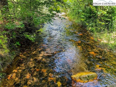 East Fork Pine Swamp Creek (runs across the entire