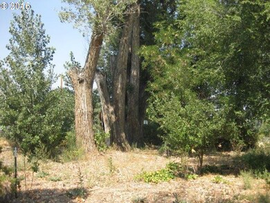 117 W Franklin Ave, Dayville, OR 97825 - photo 6