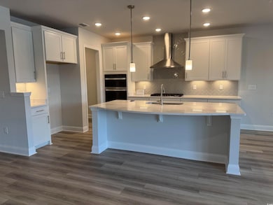 Kitchen featuring wall chimney range hood, a sink, dark wood-style flooring, an island with sink, and white cabinetry