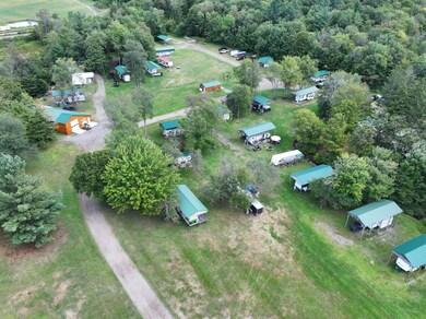 1131 Comins Rd, Osceola, NY 13437 - photo 6