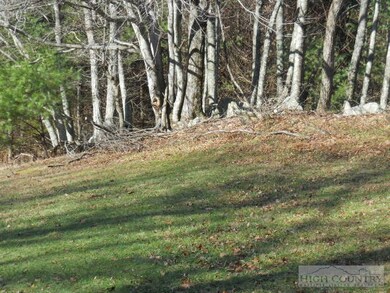 Grassy Knolls: There are various grassy knolls on
