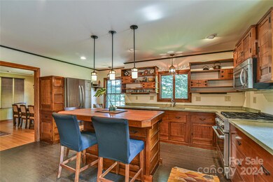 432 Turkey Creek Rd, Leicester, NC 28748 - photo 4