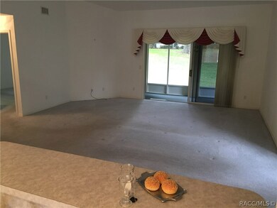 View from Pass Thru to Great Room & Formal Dining