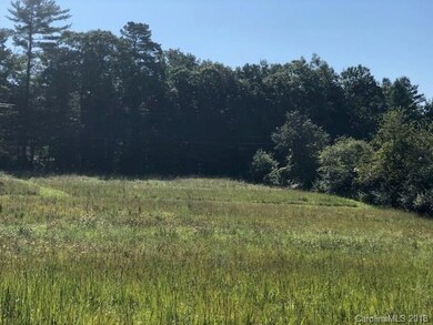 1251 N Allen Rd unit 3, Hendersonville, NC 28792 - photo 5