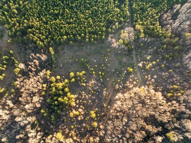 0 Thomas Rd unit 549544, Millen, GA 30442 - photo 5