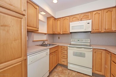 50 Cheshire Square unit A, Little Silver, NJ 07739 - photo 6