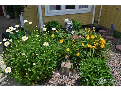 Daisies and day lillies