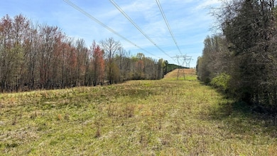 0 Stallings Rd unit 23077984, Haddock, GA 31033 - photo 3