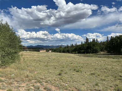 702 Pinto Trail, Como, CO 80456 - photo 7