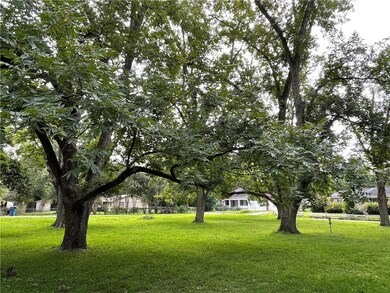 Pecan orchard