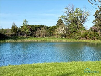 Front yard Pond