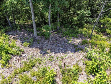 0 Carsaig Cir unit 1247601, Bella Vista, AR 72715 - photo 2