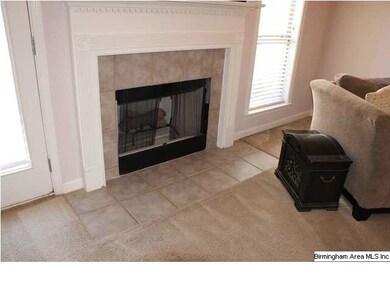 Wood burning fireplace