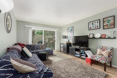 Main Living Space