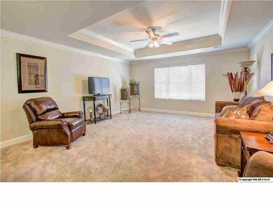Family room is open with trey ceiling