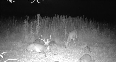 0 Emerick Rd, Franklin Township, OH 44427 - photo 3