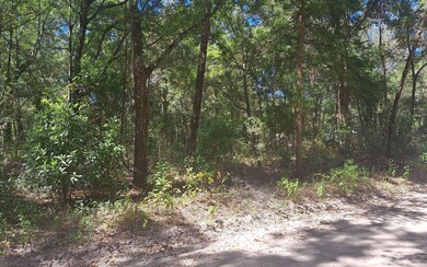 TBD 39th Ln, Branford, FL 32008 - photo 3