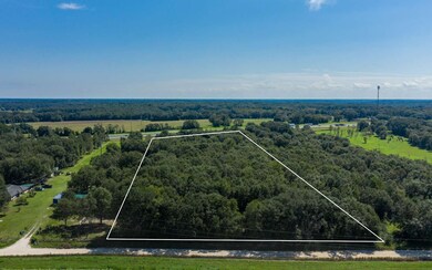 TBD Mixson Rd, Lake City, FL 32024 - photo 5