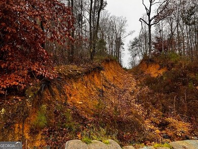 0 Talona Rd unit 10652283, Ellijay, GA 30540 - photo 4