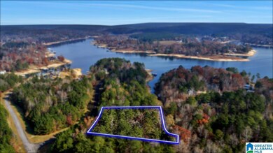 0 Long Point Rd unit 21437458, Double Springs, AL 35553 - photo 4