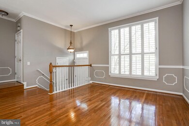 5137 Beauregard St, Alexandria, VA 22312 - photo 2