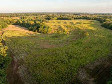 6980 SW O Hwy, Trimble, MO 64492 - photo 6