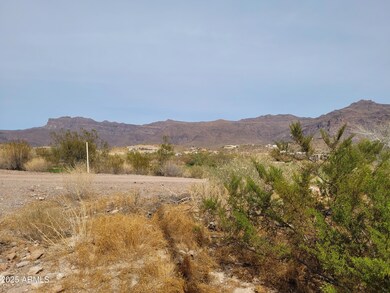 9651 E Quarter Circle Loop unit 4, Gold Canyon, AZ 85118 - photo 7