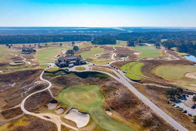 4258 True Blue Ct, Mount Pleasant, SC 29429 - photo 4