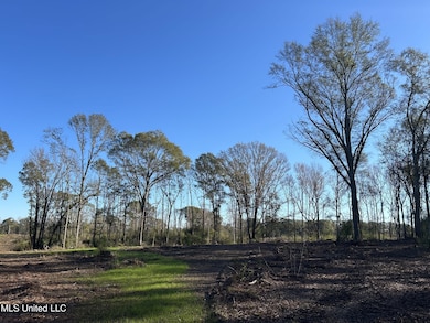 unlisted-address, Mendenhall, MS 39114 - photo 6