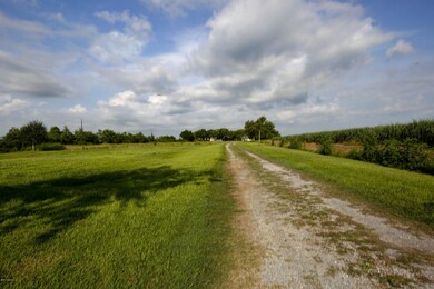 8708 Leleux Rd, New Iberia, LA 70560 - photo 3