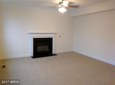 153 Meadowbrook Way, Centreville, MD 21617 - photo 5