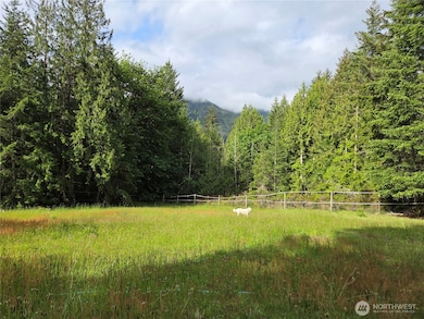 unlisted-address, Brinnon, WA 98320 - photo 4