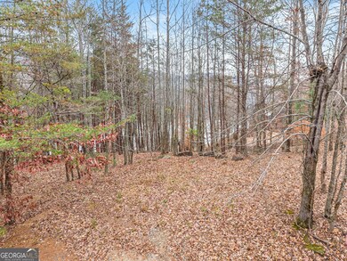 0 S Laceola Rd unit 10648303, Cleveland, GA 30528 - photo 2