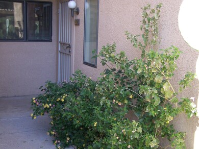 Skyline Springs unit 135, Tucson, AZ 85718 - photo 7