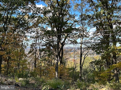 501 Skyline Dr, Allentown, PA 18103 - photo 3